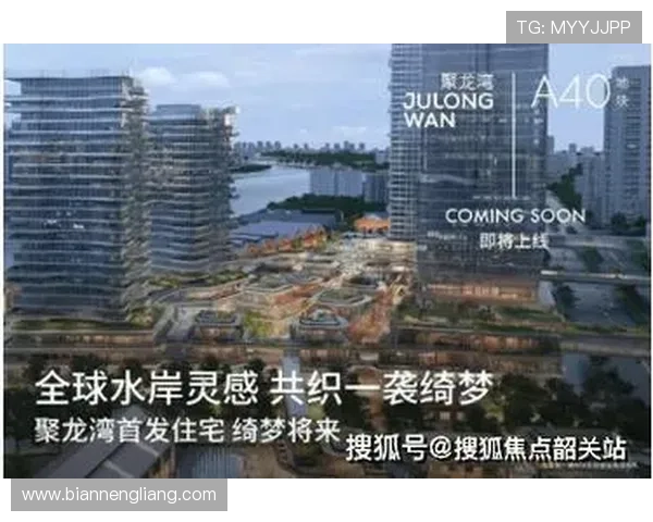 壹号网址官方地址的详细查询步骤与常见问题解答