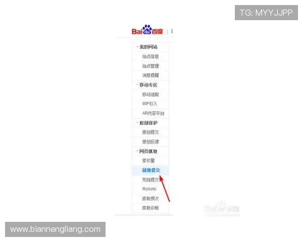 壹号娱乐官网入口登录流程详解让新手玩家轻松掌握登录步骤与注意事项
